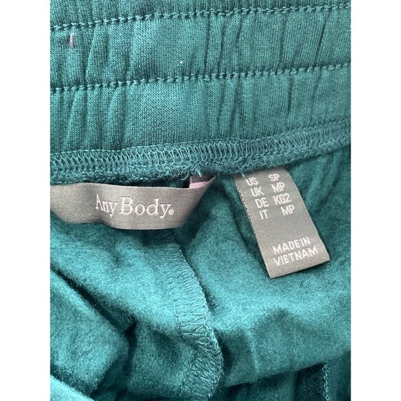 AnyBody Pet Brushed French Terry Full Length Pant Size Small Teal Lounge Comfy - Picture 6 of 9